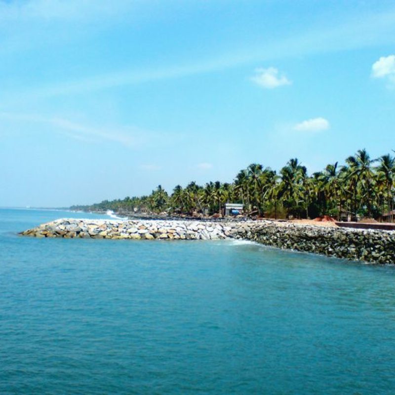 Aerial view of Pathiramanal Island bird sanctuary in Vembanad Lake
