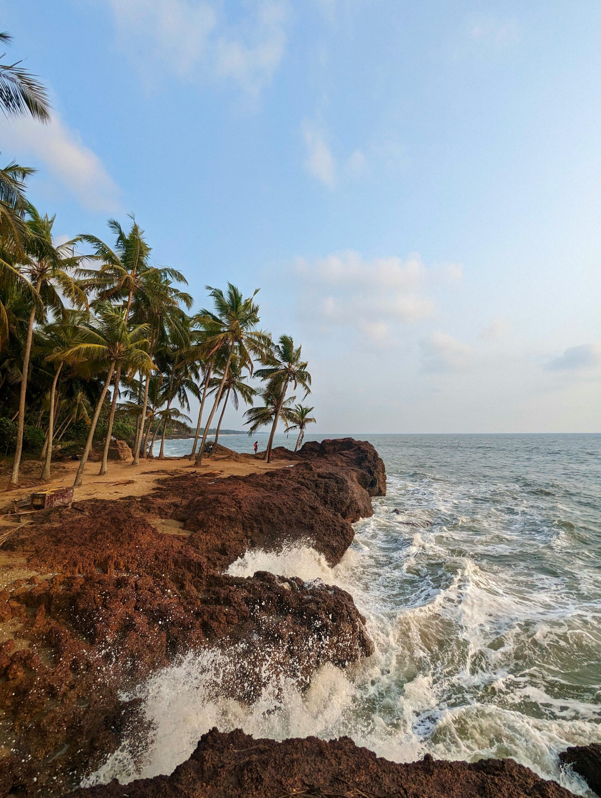 Munnar & Alleppey 3 Night, 4 Days