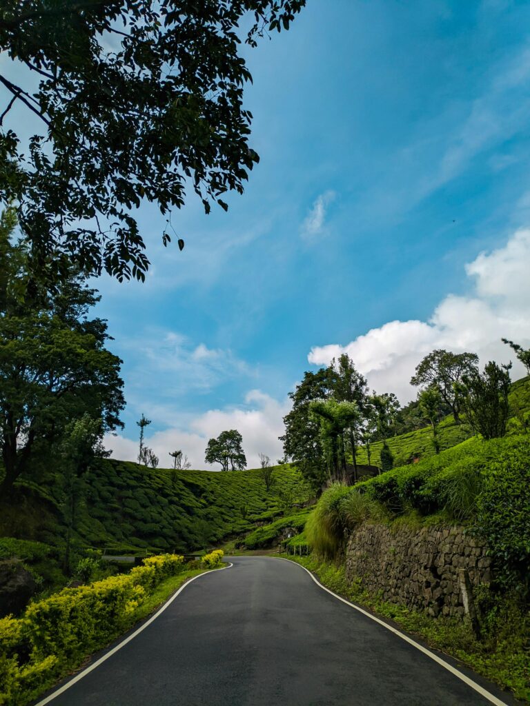 Panoramic view of rolling green tea plantations in Munnar Kerala